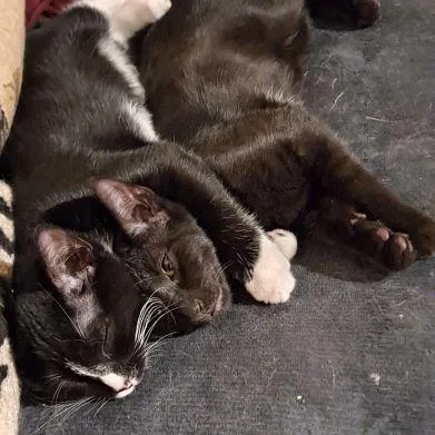 Rudy And Ollie thumbnail 3