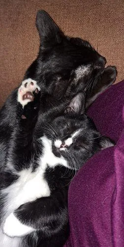 Rudy And Ollie thumbnail 5