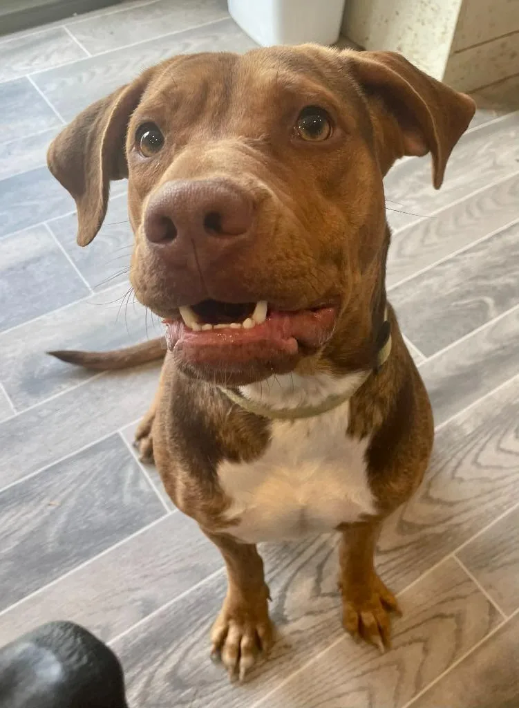 Delphine thumbnail 2