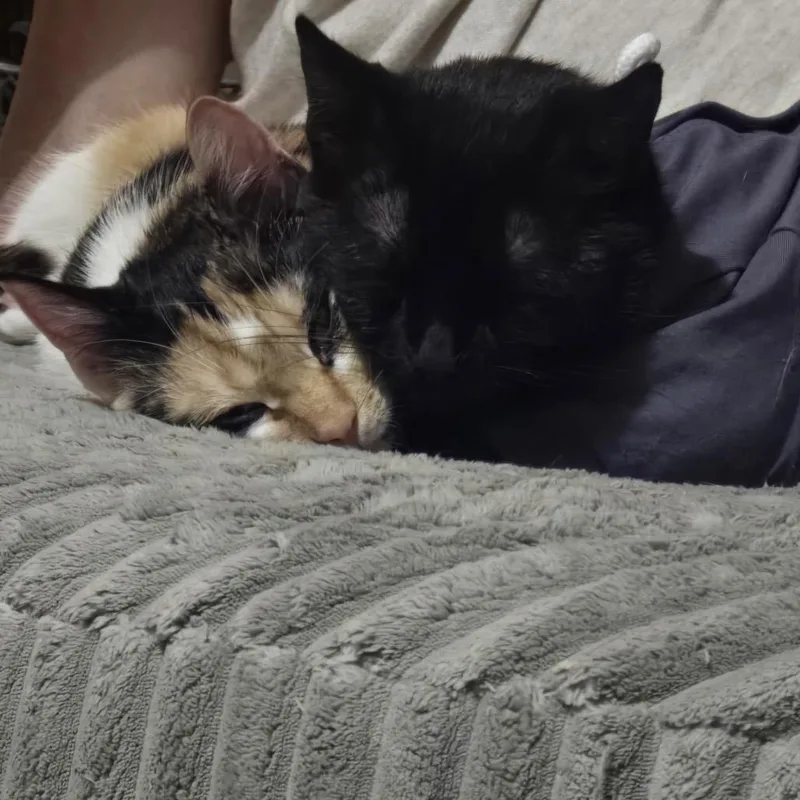 Freya With Luna thumbnail 5