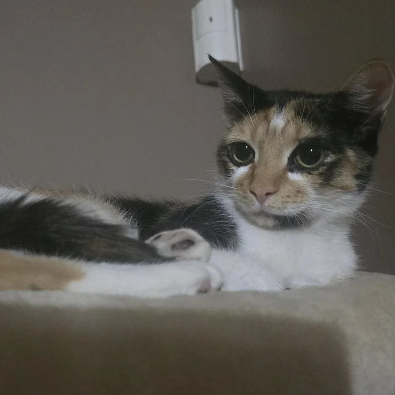 Freya With Luna thumbnail 6