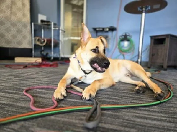 Max