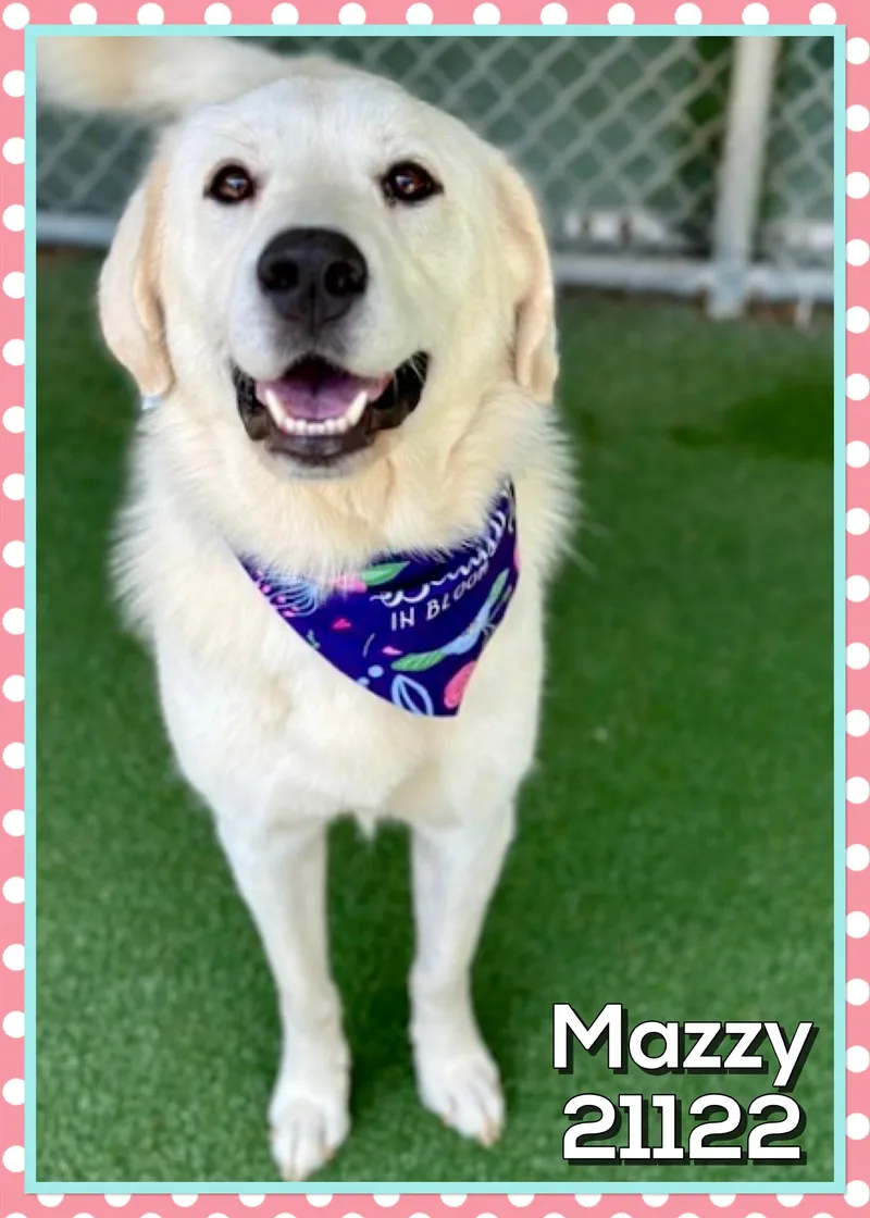 Mazzy thumbnail 2