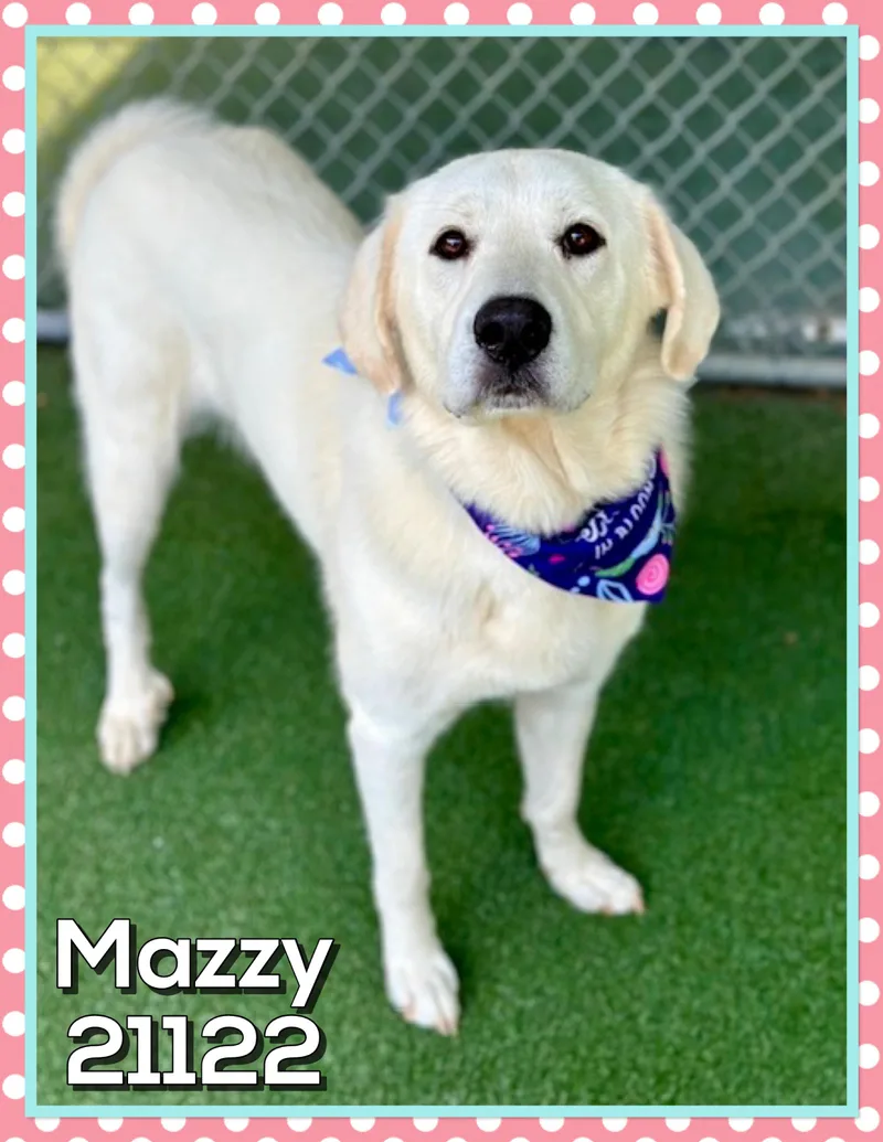 Mazzy thumbnail 5