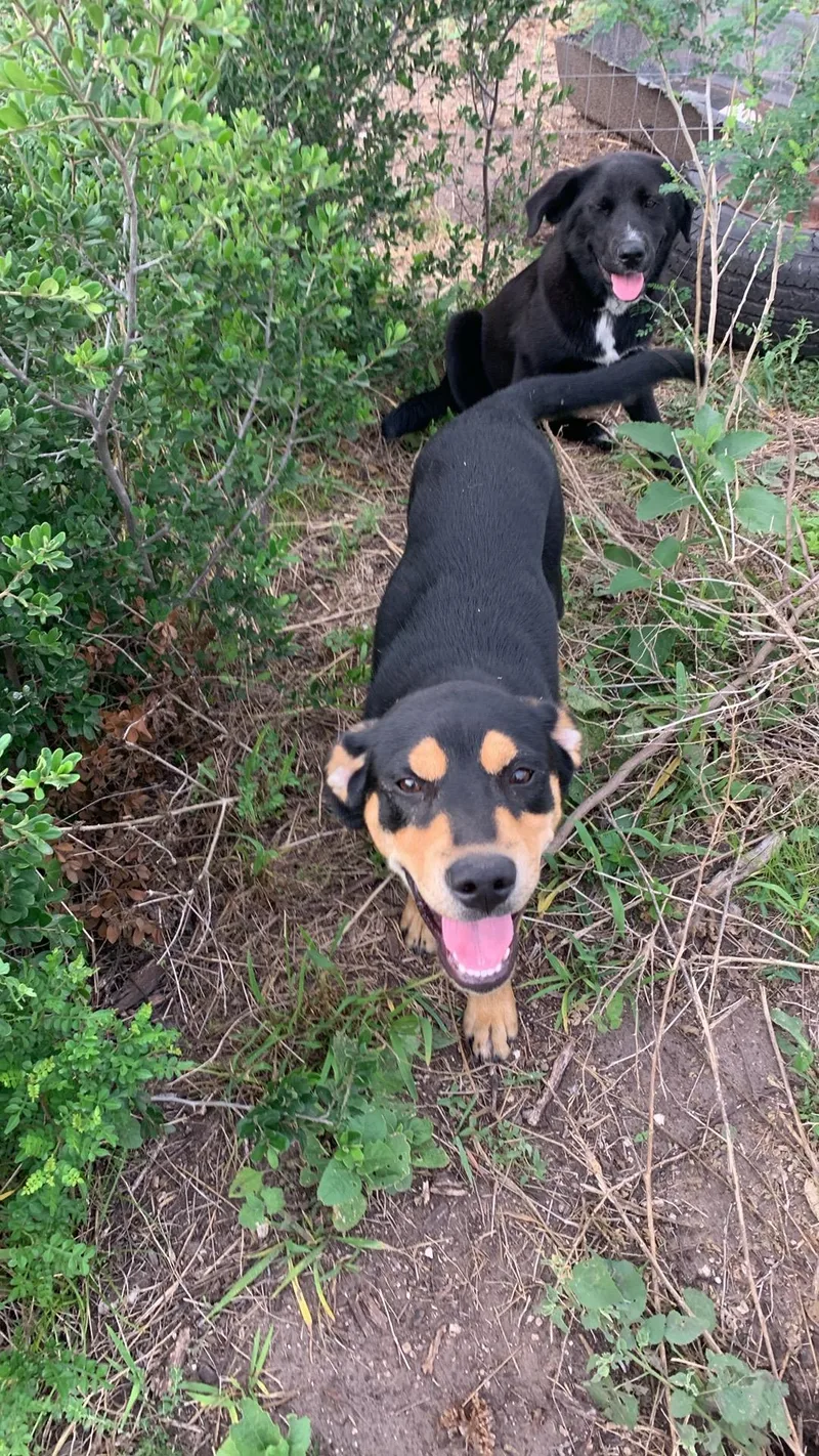 Smokie Robinson thumbnail 2