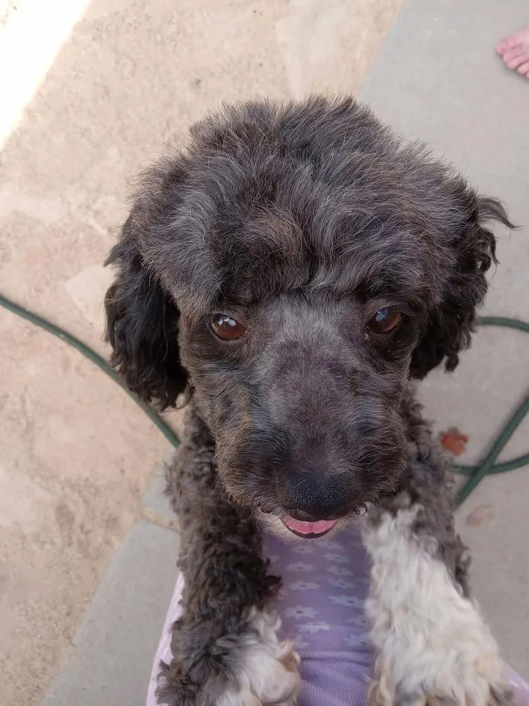 Shirley