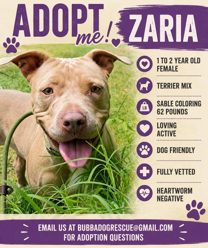 Zaria