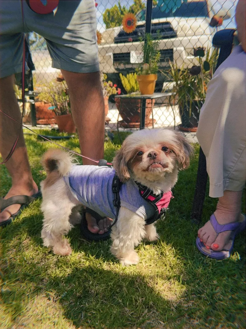 Zoey thumbnail 3