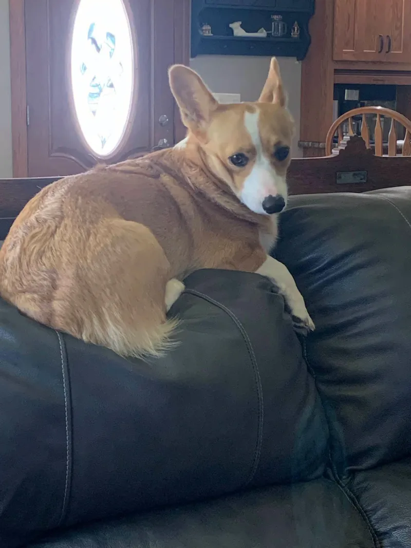 Maggie thumbnail 2