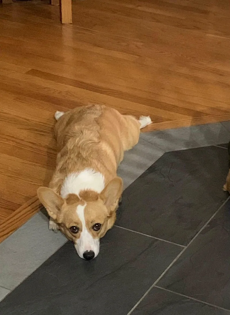 Maggie thumbnail 3