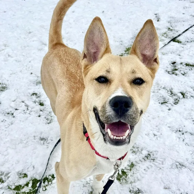 Cleopatra thumbnail 3