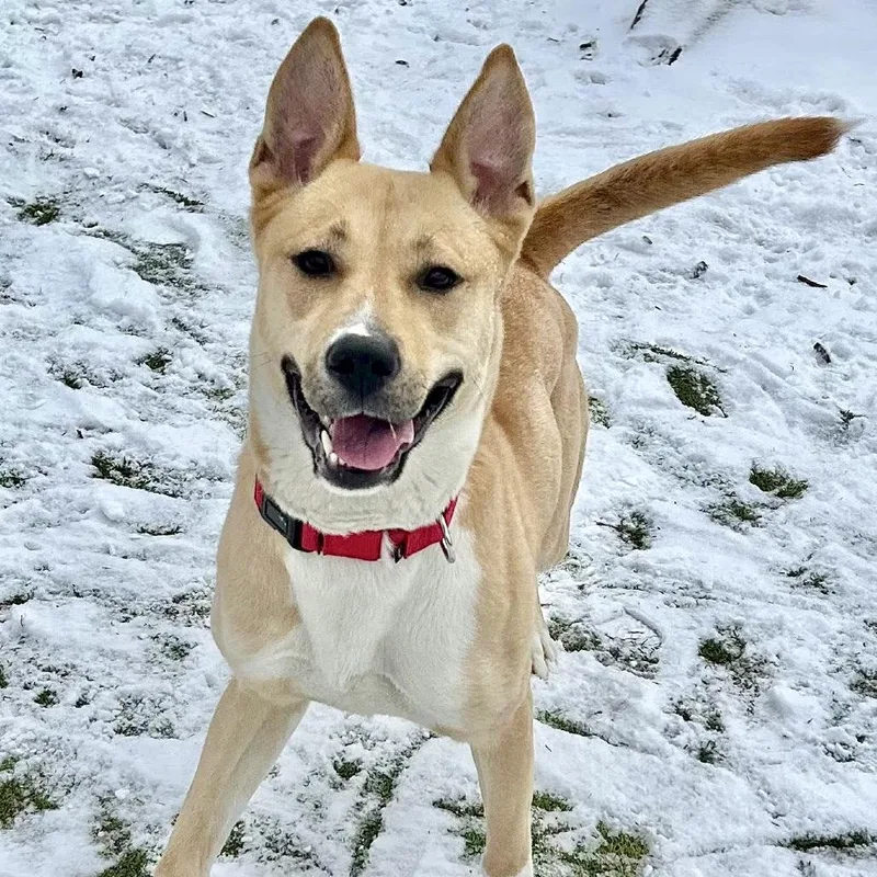 Cleopatra thumbnail 4