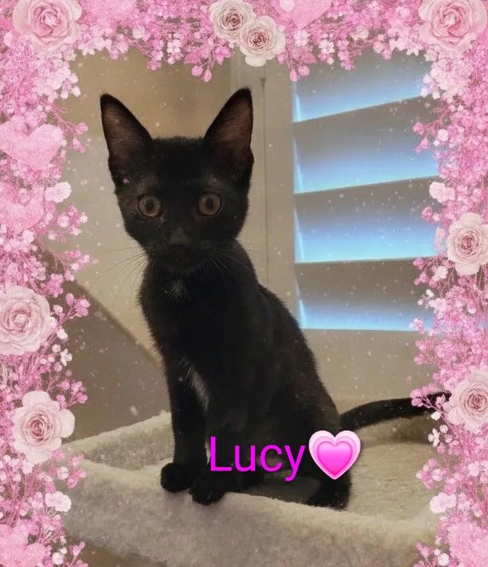 Lucy