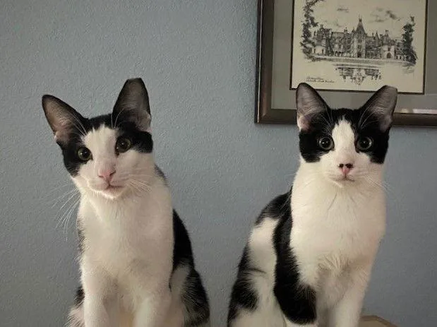 Colin Robinson thumbnail 2