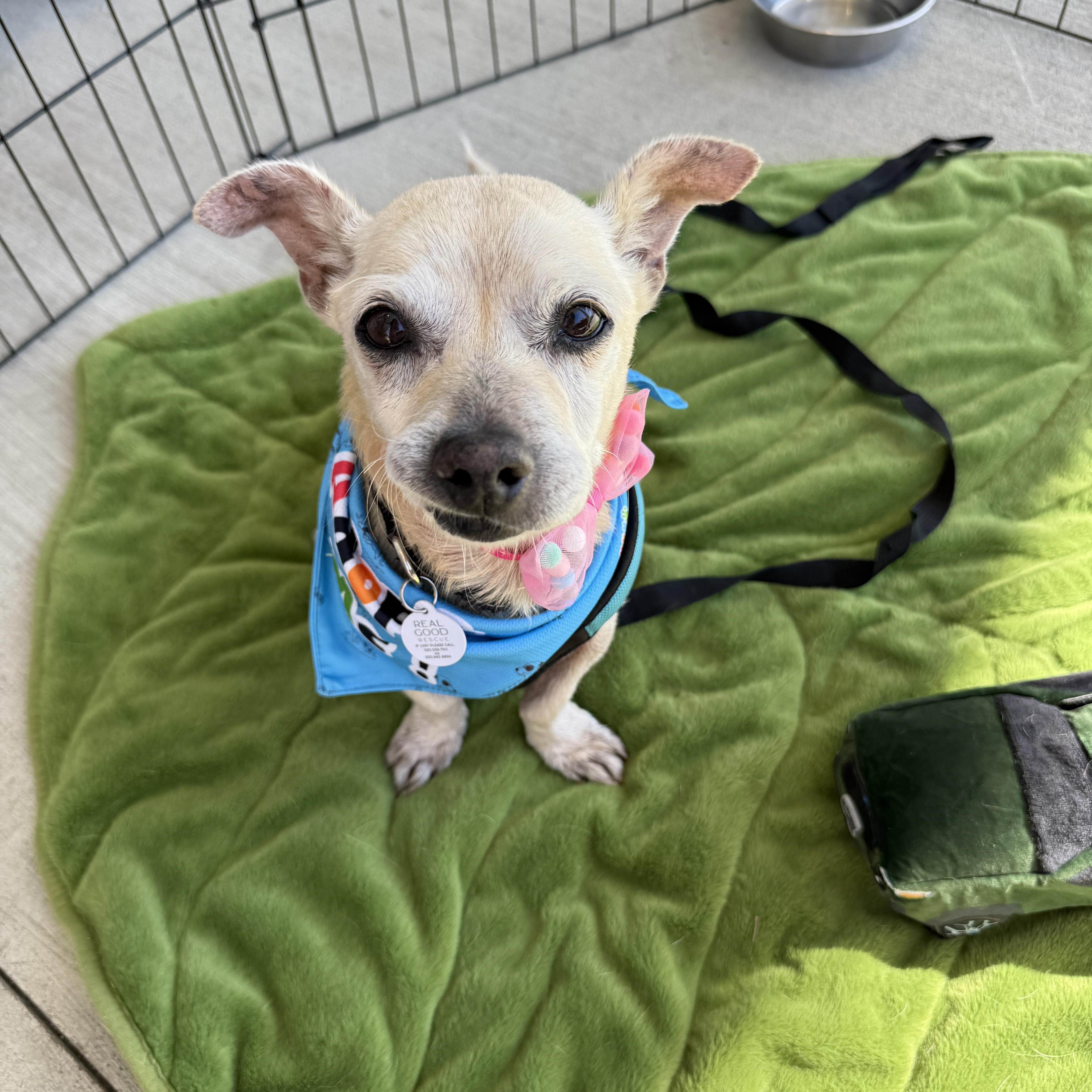 Mel Brooks thumbnail 4