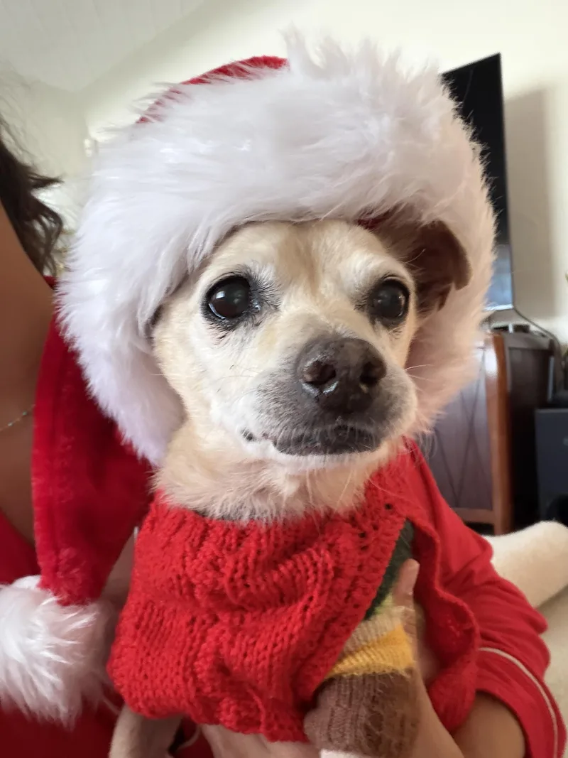 Mel Brooks thumbnail 5