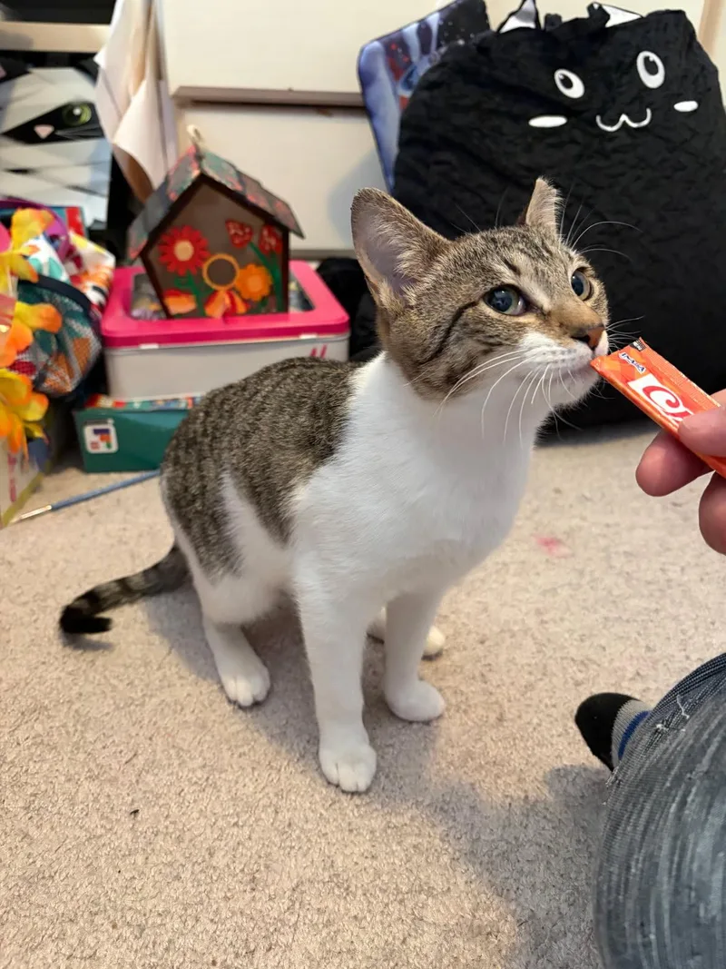 Robin And Steve thumbnail 2