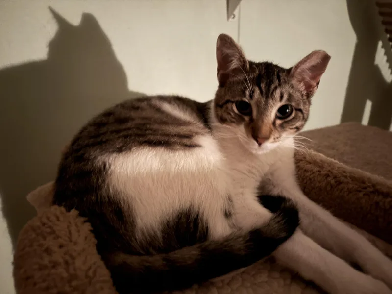 Robin And Steve thumbnail 4