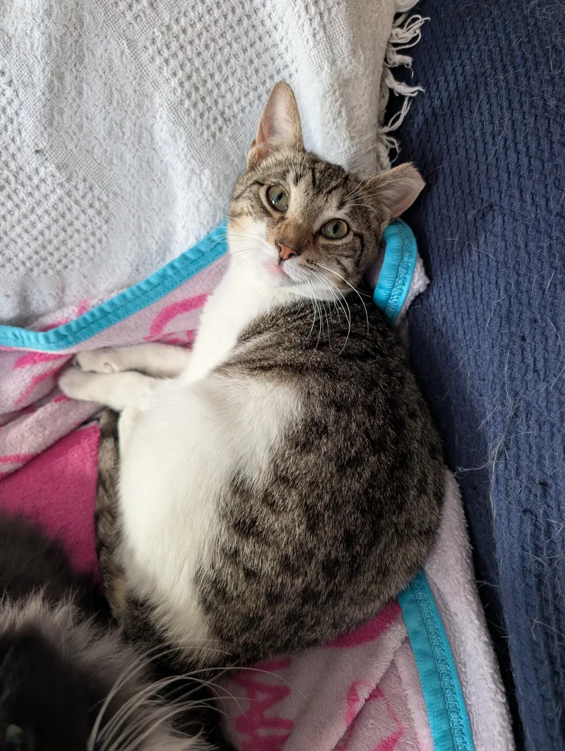 Robin And Steve thumbnail 5