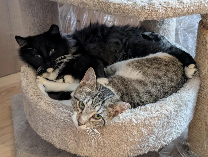 Robin And Steve thumbnail 6