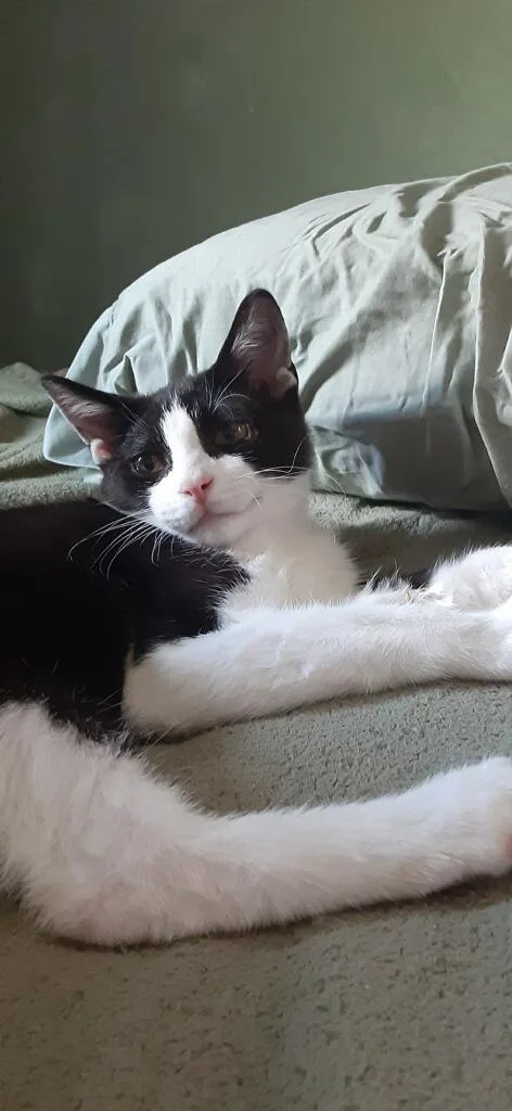 Sweet Pea thumbnail 2