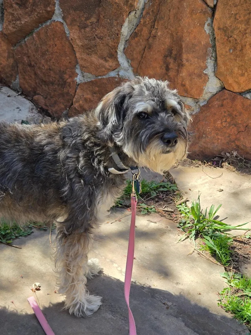 Pepper thumbnail 2