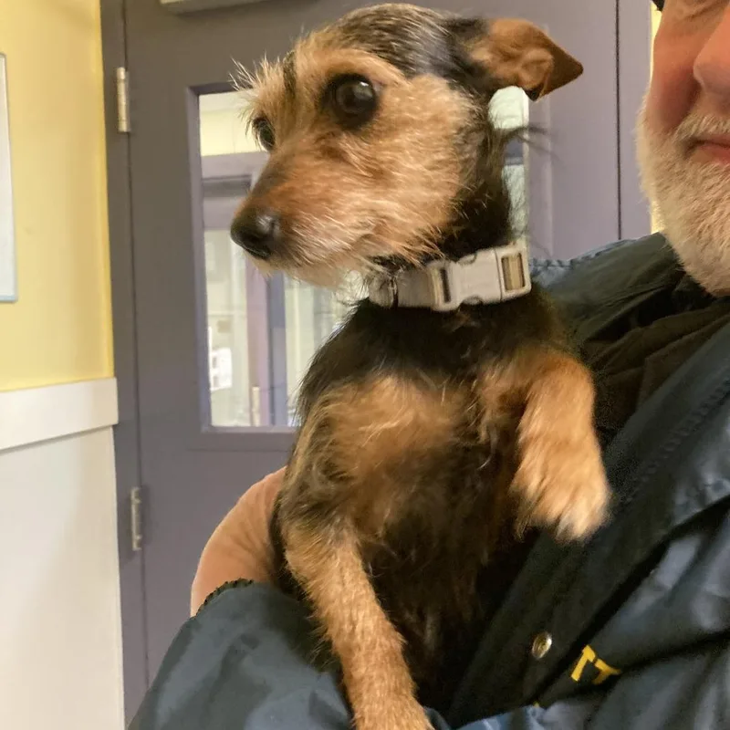 Mandalorian thumbnail 2