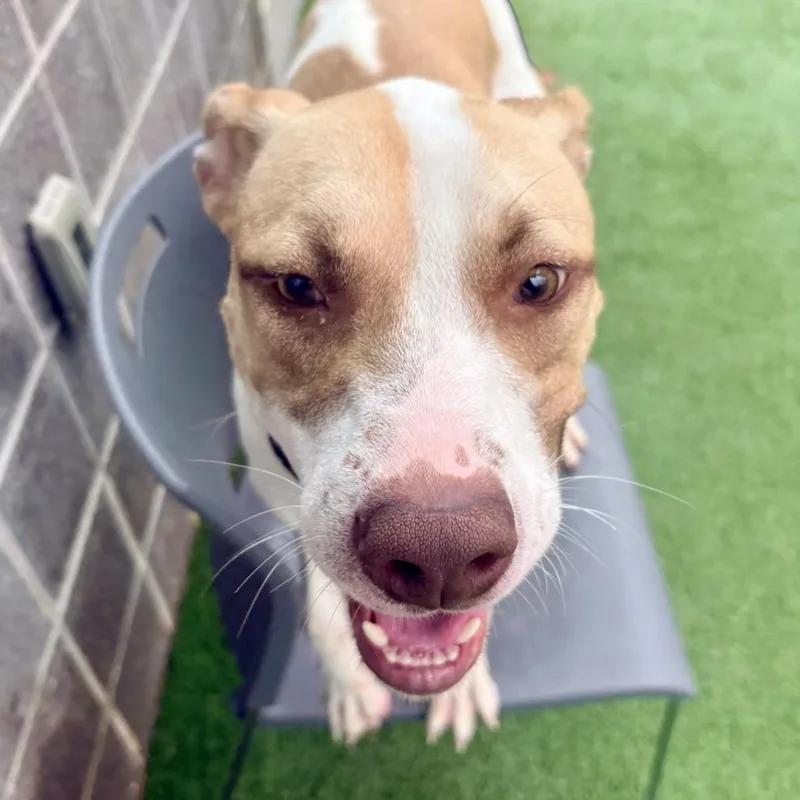 Daisy May thumbnail 4