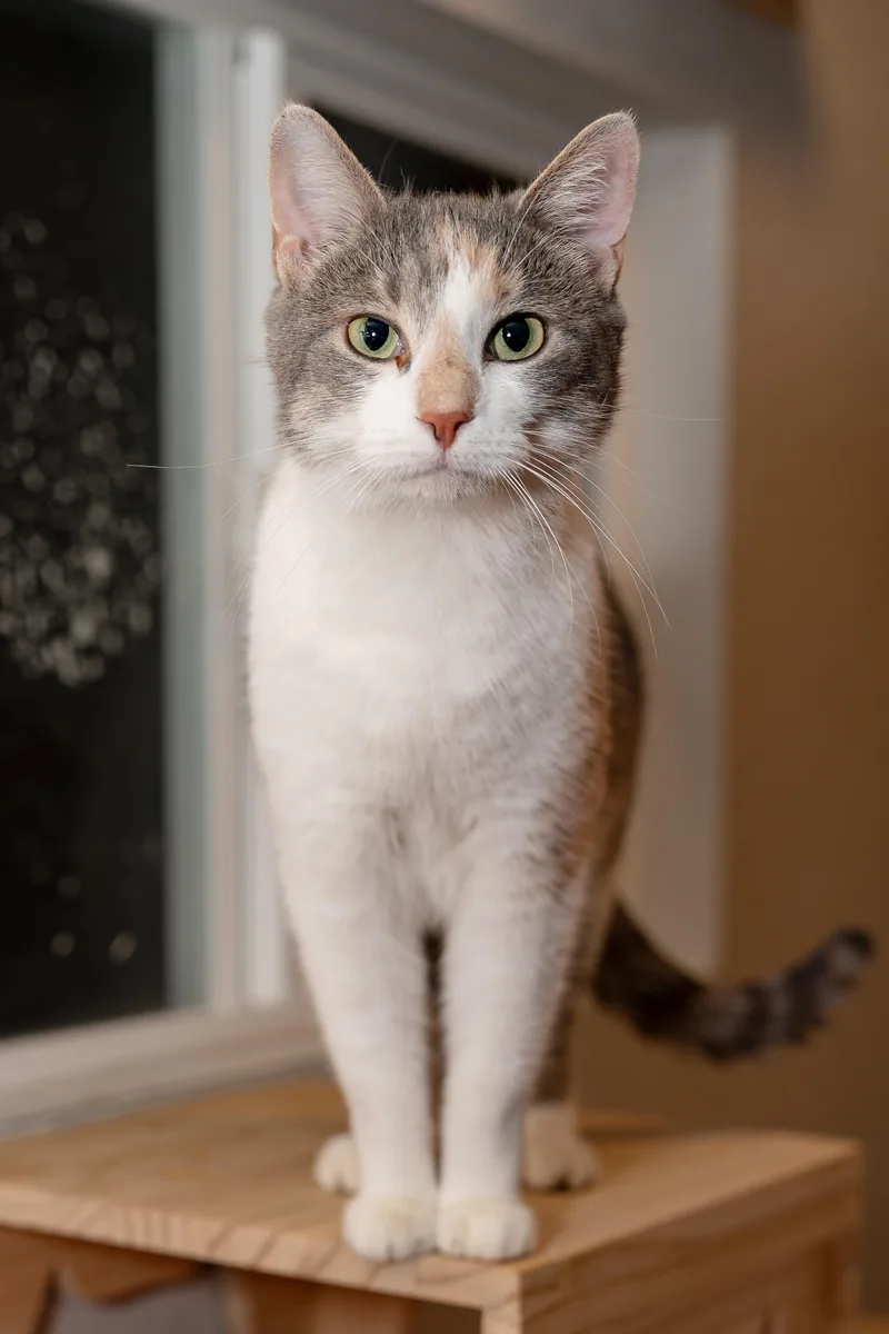 Dumpster And Marge thumbnail 6