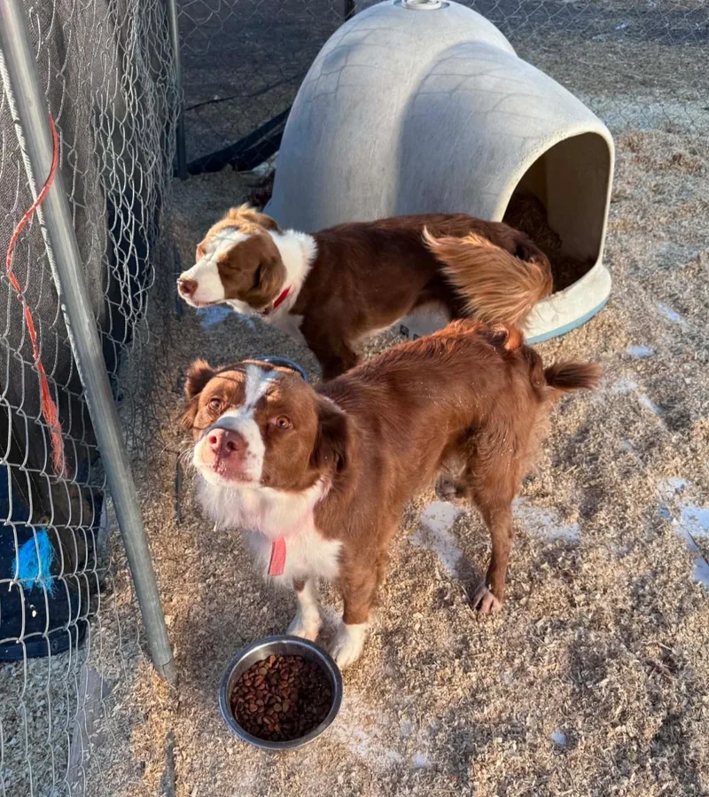 Sally and Allie