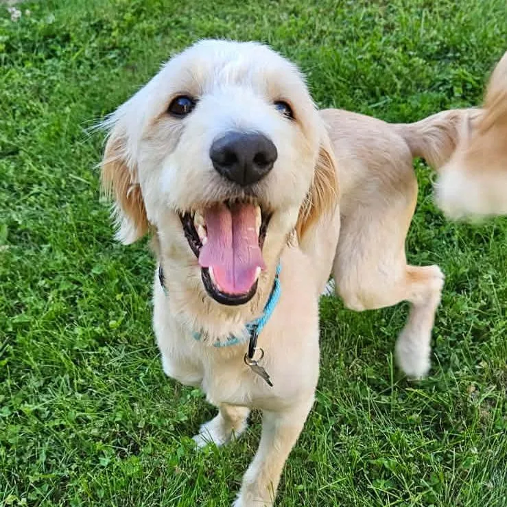 Sammie thumbnail 3