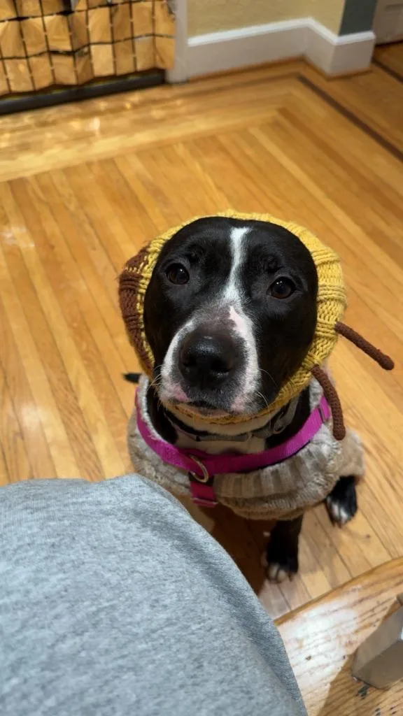 Meg Ryan thumbnail 3