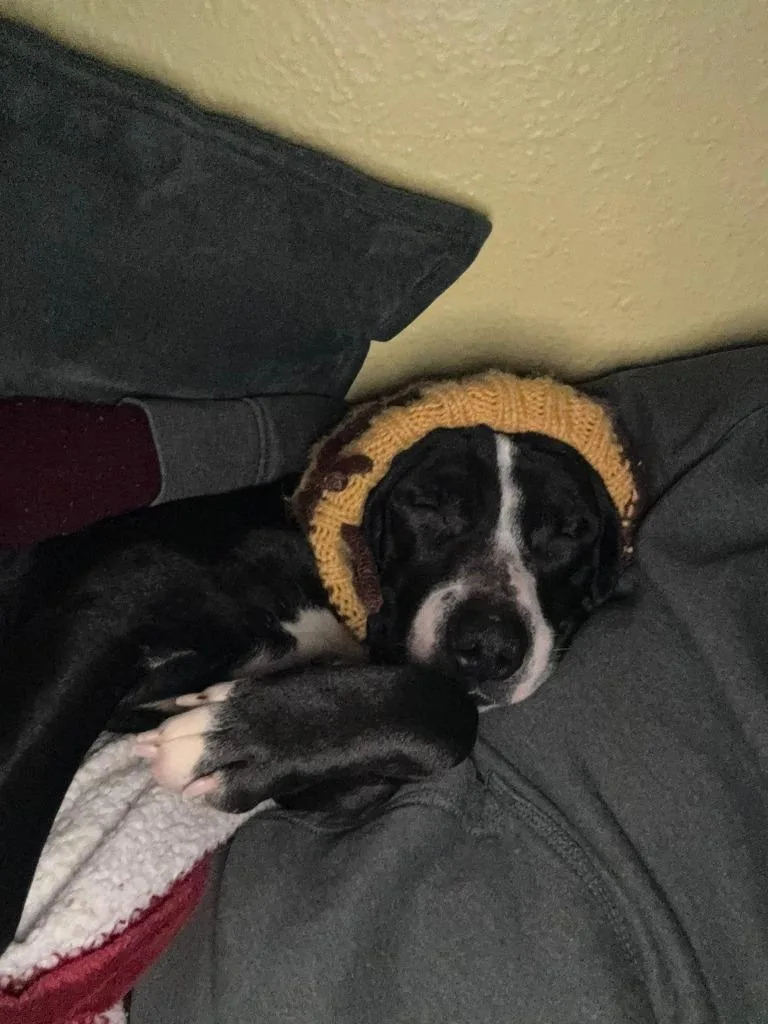 Meg Ryan thumbnail 4