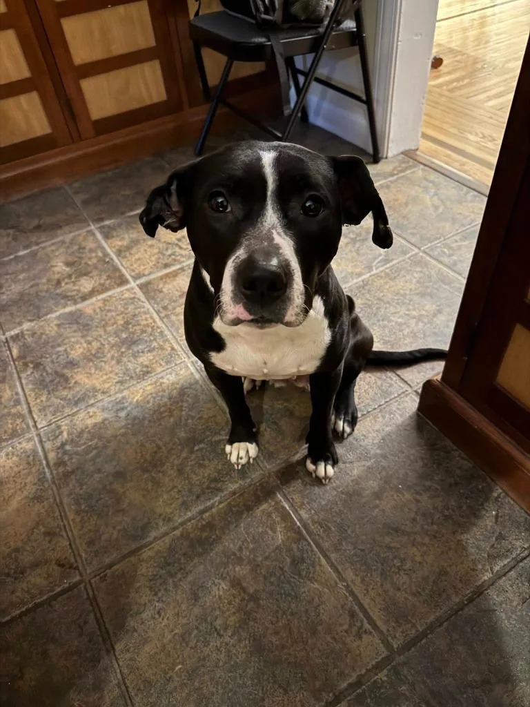 Meg Ryan thumbnail 5