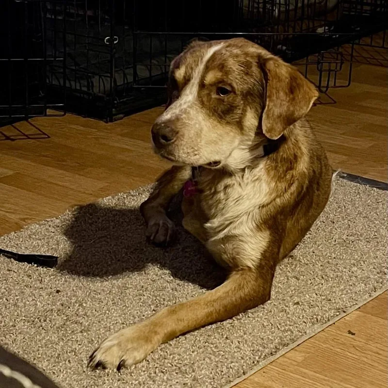 Franklin thumbnail 2