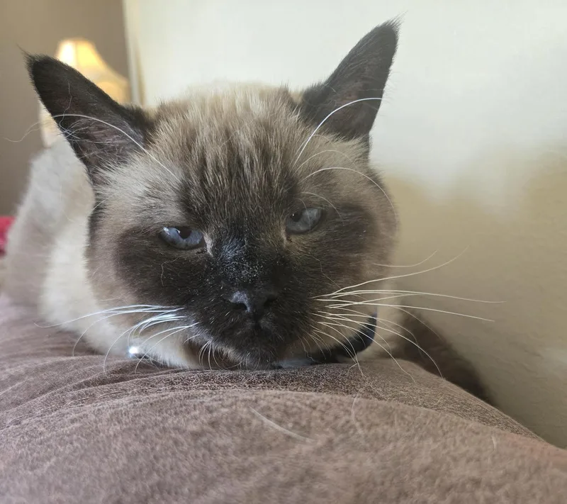 Max