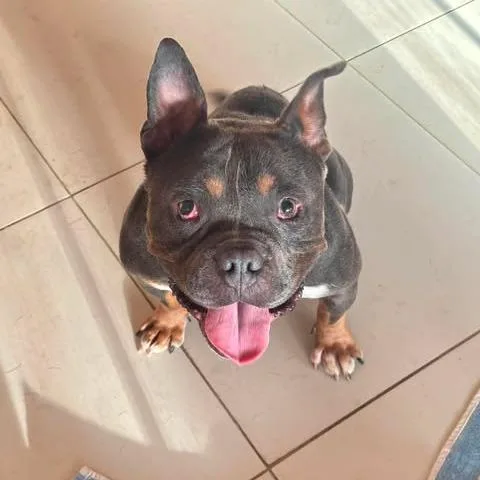 Delilah