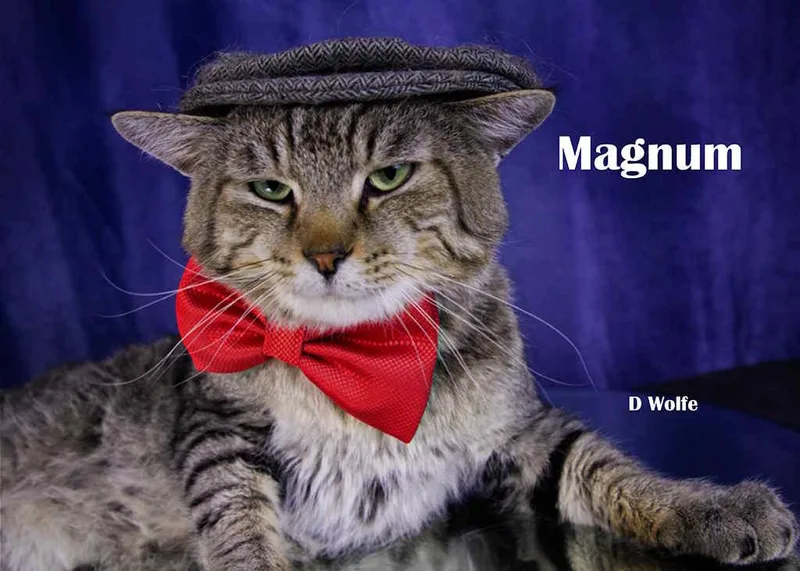 Magnum thumbnail 3