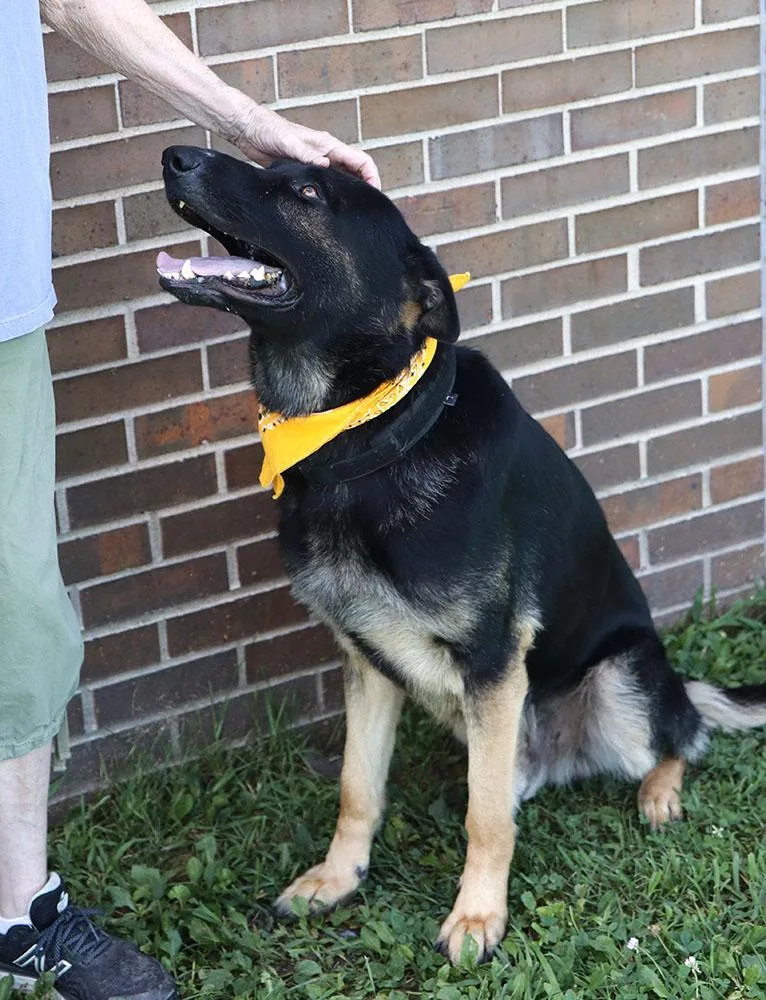 Ranger