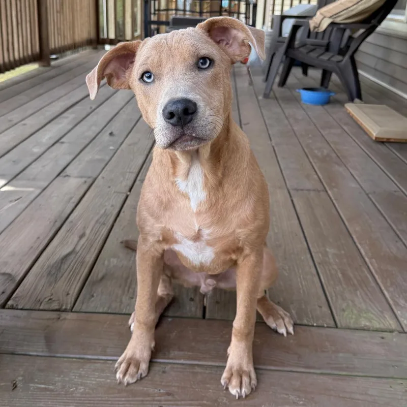 Mitchell thumbnail 3