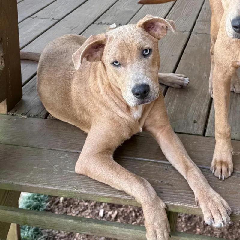 Mitchell thumbnail 4