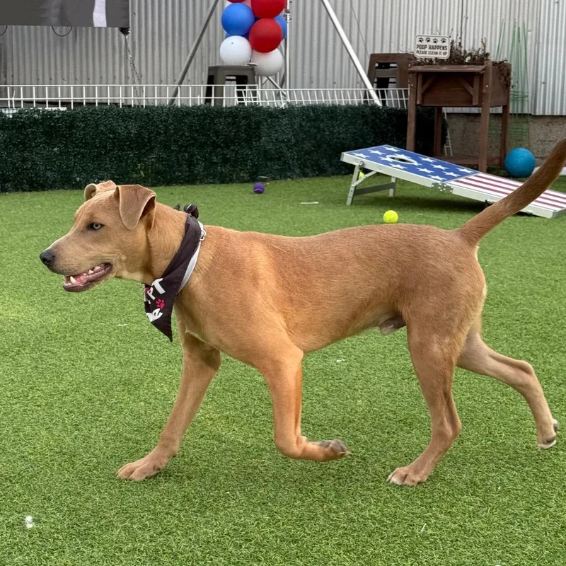 Mitchell thumbnail 5