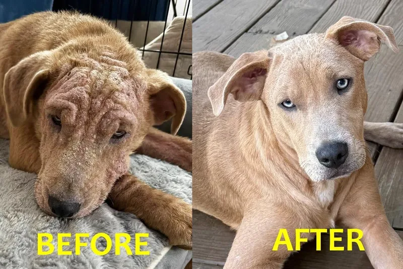 Mitchell thumbnail 6