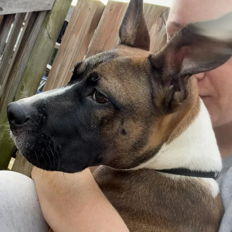 Gus thumbnail 2