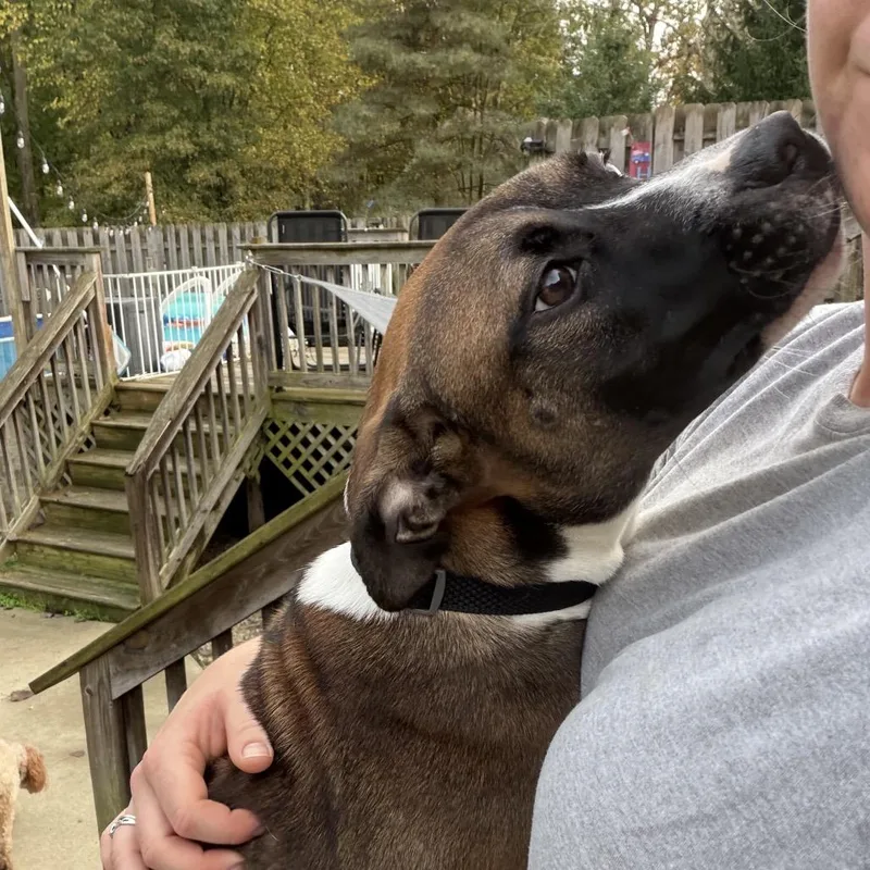 Gus thumbnail 5