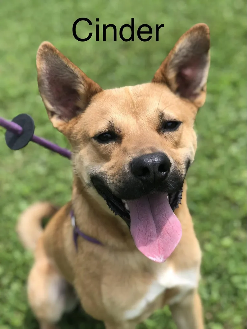 Cinder thumbnail 2