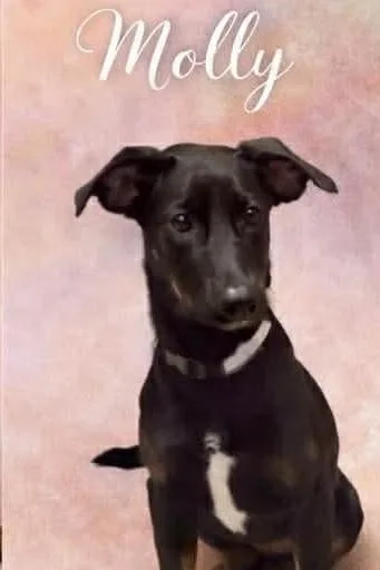 Molly