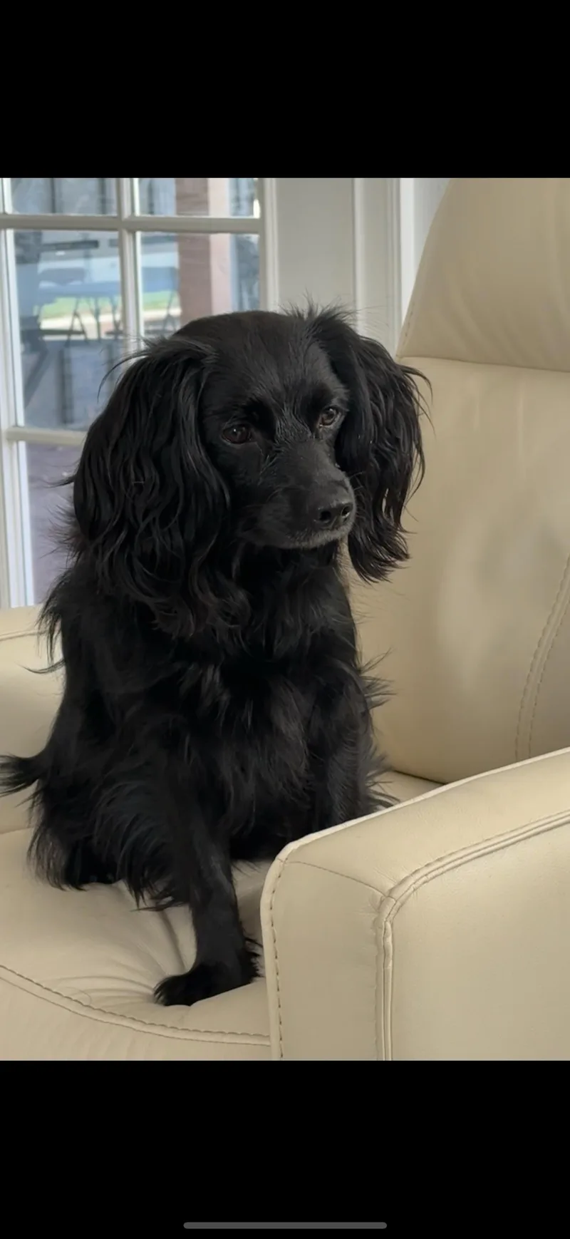 Lorenzo  The Sweetest