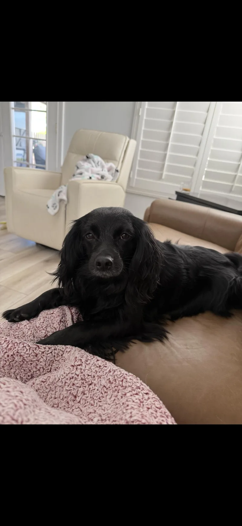 Lorenzo  The Sweetest thumbnail 3