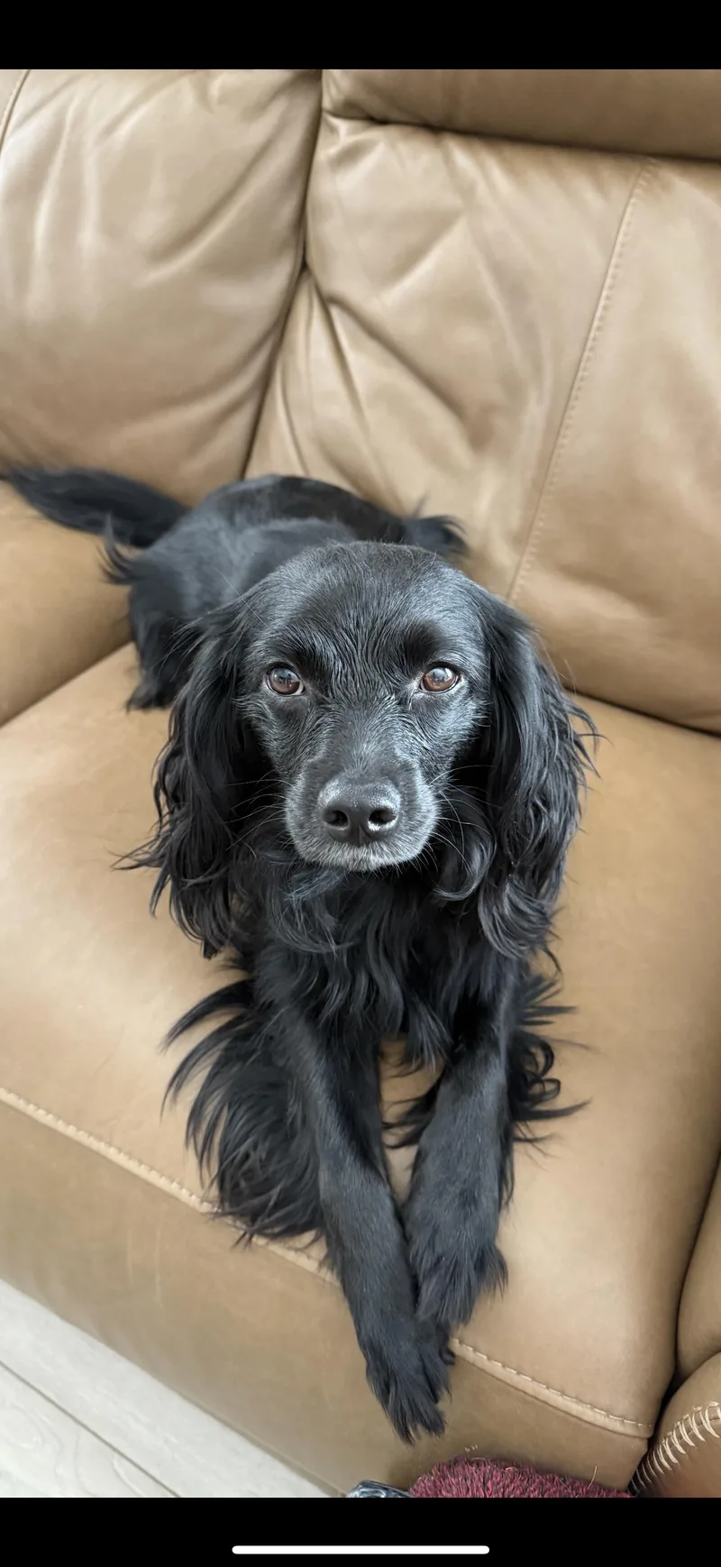 Lorenzo  The Sweetest thumbnail 5